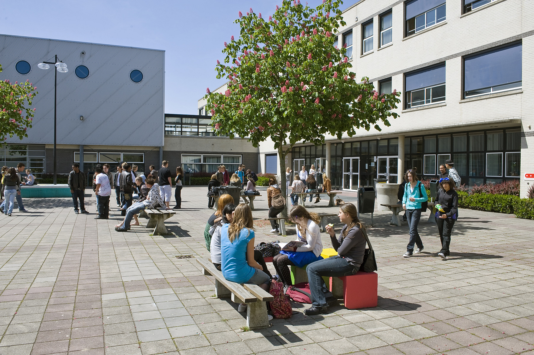 Oostvaarders College